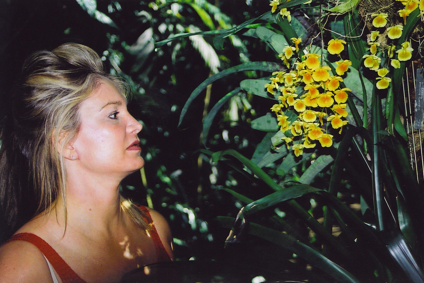 Joni Rogers-Kante, founder of SeneGence, studying a cascade of yellow orchids.