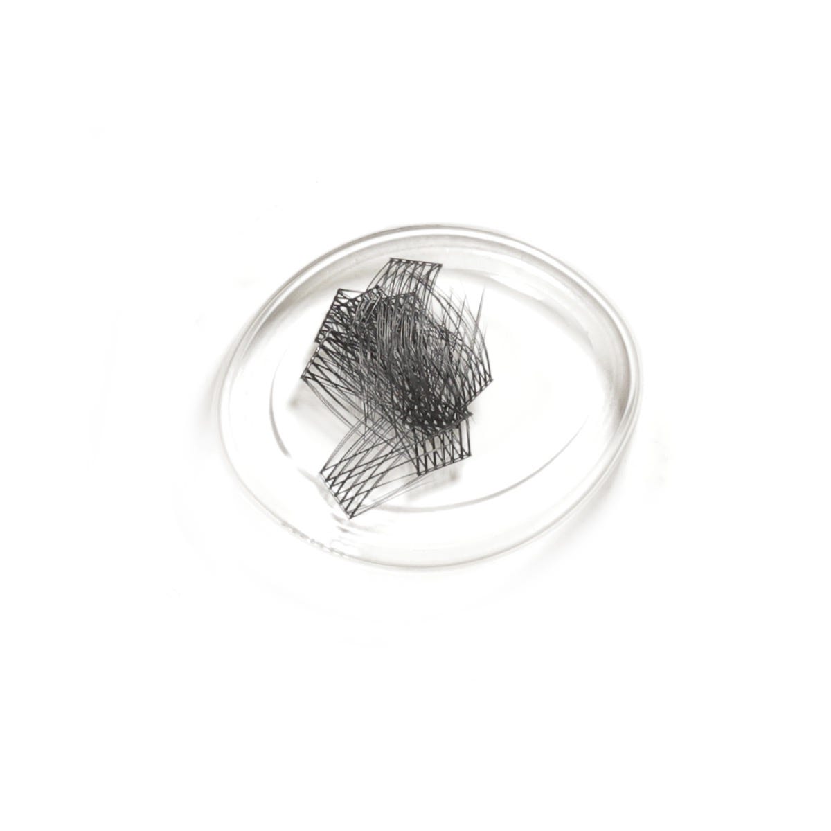 LashSense Lashes Refill - Plumeria (4 ct.) by SeneGence: Black lash clusters in a clear round tray.